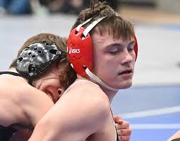 Circleville's Johnson working hard for successful state debut