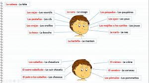 Le Corps Humain En Espagnol La Cara Le Visage Las Cejas Les Sourcils Las Pestanas Les Cils Las O Cours Espagnol Gratuit Espagnol Gratuit Cours Espagnol