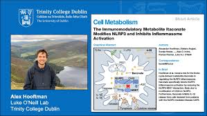 Lived in farnam ne, pflugerville tx, belton tx, healdsburg ca. The Immunomodulatory Metabolite Itaconate Modifies Nlrp3 And Inhibits Inflammasome Activation Jrnlclub The Online Journal Club