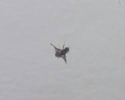 Wer kleine fliegen an der decke oder den wänden in der wohnung bemerkt, der muss nicht nur aus der ferne die schädlinge ansehen. Was Sind Das Fur Komische Fliegen An Der Decke Insekten