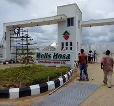 Idahosa (hosa) wells okunbo (born 7 january 1958) was a nigerian business magnate, investor, philanthropist and trained commercial pilot. Wells Hosa Author At Wells Hosa Greenhouse Farmswells Hosa Greenhouse Farms