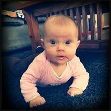 Scott Sundquist (@scott_sundquist)