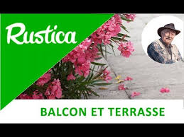 Planter un laurier rose en pot. Planter Un Laurier Rose En Pot Sur Une Terrasse Youtube