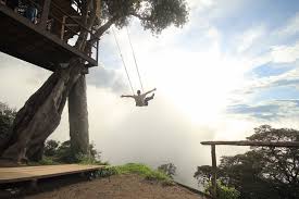 But even though i feel queasy and my stomach's uneasy. The Swing At The End Of The World Photo