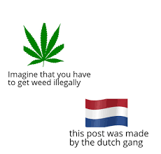 Meme generator, instant notifications, image/video download, achievements and many more! Dutch Gang Memes