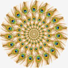Peacock Feather Peacock Krishna Peacock Feather Png Transparent Clipart Image And Psd File For Free Download Feather Background Feather Graphic Peacock Feather