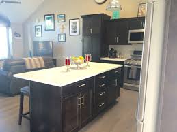 Small Spaces Open Concept Kitchen And Living Room Dark Java Cabinets With White Open Concept Kitchen Living Room Small Kitchen Cabinets Open Concept Kitchen