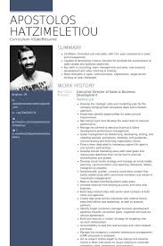 Different templates for different jobs. 24 Best Sample Executive Resume Templates Wisestep