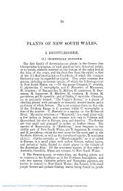 Image result for Lipocarpha constricta