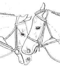 Maybe you would like to learn more about one of these? Free And Printable Horse Coloring Pages 101 Coloring