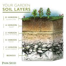 Soil Roots And So Much More Official Blog Of Park Seed Soil Layers Compost Soil Soil Texture