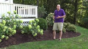 Hi, you all, i am using landscape and it works fine to landscape one page and portrait the other ones. Front Yard Landscape Design Ideas Trumbull Ct Landscape Designer Youtube