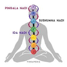 What Is Nadi Definition From Yogapedia Swara Yoga Yoga Philosophy Chakra Yoga