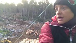 Native Forest Logging, Dr Lisa Searle