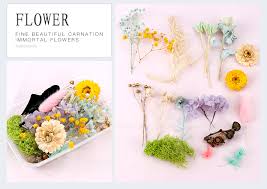 We did not find results for: Eternal Flower Material Handmade Floral Products Diy Gifts Box Dried Flower Mixed Wholesale Artificial Plants Wedding Supplies Artificial Dried Flowers Aliexpress