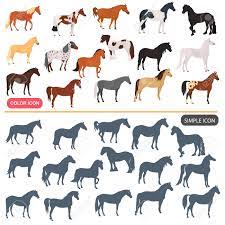 purchase cheval en couleur up to 70 off coloriage de la reine des glaces