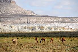 Beautiful Landscapes Of Western Kazakhstan Kazakhstan Travel And Tourism Blog Travel And Tourism Kazakhstan Travel Landscape