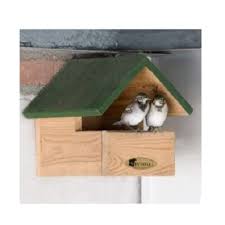 Image result for Flyte Blackbird Nest Box