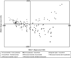 Image result for Sartidia angolensis