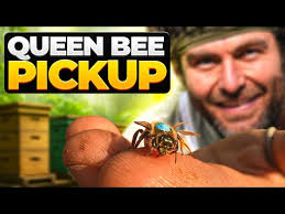 Stop! Pick Up Queens Like This!