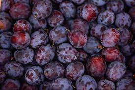 Can You Freeze Plums Prepared Cooks
