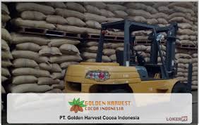 .forklift diesel, forklift elektrik, scissor lift, boom lift, manlift, skylift, reach truck, excavator, wheel loader dll. Lowongan Kerja Pt Golden Harvest Cocoa Indonesia Terbaru 2021