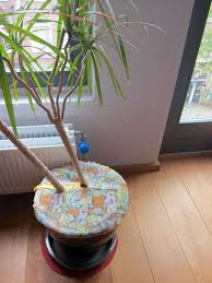 Baby Proofing Plants Etsy 15 Veraveravera Baby Proofing Toddler Proofing Diy Baby Stuff