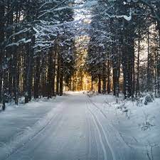 Download hd wallpapers for free on unsplash. Winter Ipad Pro 12 9 Retina For Parallax Wallpapers Hd Desktop Backgrounds 3415x3415 Images And Pictures