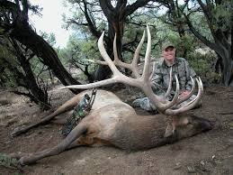 Randy Ulmer Editor-at-Large