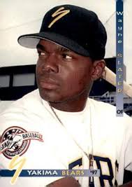 Wayne Slater Gallery