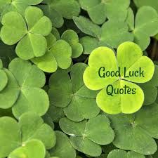 Irish four leaf clover quotes. Good Luck Quotes Best Of Luck Wishes Irish Quotes Lucky Sayings
