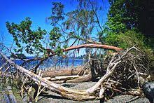 cutts island state park wikivisually