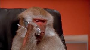 Spesies monyet pun tidak luput dari ancaman ini. Lab Monkey Makes A Call Monkey Doga Animals