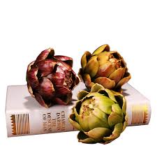 Events that live in the memory forever. Beli Artichoke Pada Harga Terendah Lazada Com My