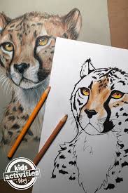 Easy cheetah drawings free image. Awesome Cheetah Coloring Pages For Kids Adults With Video Tutorial Kab