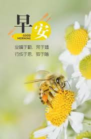 pin by wp chow on morning 早安 午安 morning greetings quotes good morning images good morning wishes