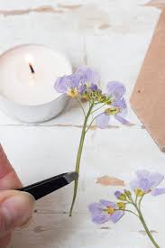 Not only can you choose the scent of the candle, but you can further personalize it by choosing the recipients favorite flower to use in the jar! Laura Ashley Flower Press Pressed Flower Candles Pressed Flowers Making Candles Diy