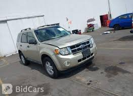 Image result for Gold Leaf 2010 Escape