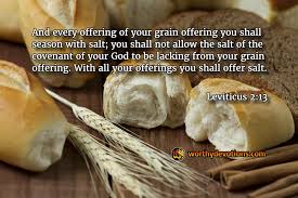 Image result for images covenant of salt