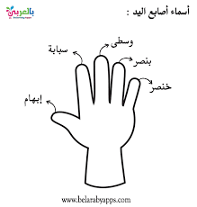 Pin On وحدة الايدي رياض الاطفال