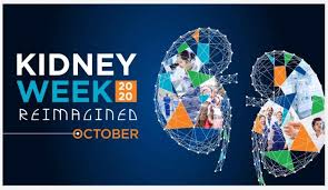 Medflixs American Society Of Nephrology Kidney Week Asn 2020
