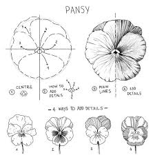 59,000+ vectors, stock photos & psd files. Alice Alicelovesdrawing Instagram Photos And Videos Flower Drawing Flower Drawing Tutorials Flower Art Drawing