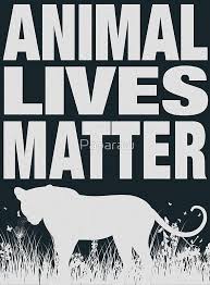 Animal Lives Matter In 2020 Lives Matter Animals Matter Life