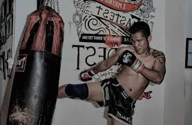 Muay thai camps in thailand. 6 Muay Thai Studio In Jakarta Flokq Blog