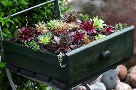 Es gibt auch viele tolle gartenaccessoires speziell für draußen, angefangen beim übertopf für die terrassenbepflanzung bis hin zur originellen gartenbeleuchtung. Garten Dekorieren 10 Kreative Ideen Gala De