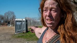 Sacramento's port-a-potties for homeless could be removed