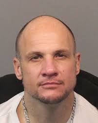 PRESS RELEASE: Wanted Felon Apprehended After Search Warrant