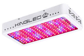 Kings plus brand scientifically engineered these cheap full spectrum led grow lights to balance the par/lumen output and coverage. Top 25 Best Led Grow Lights 2021 Mold Resistant Strains