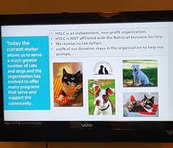 Pin By Brighton Ford On Brighton Ford Pet Of The Week Dog Organization Humane Society Pets