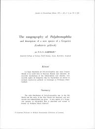 Image result for Lankesteria